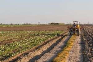 Reuters: Franţa acordă fermierilor credite fără dobândă de până la două miliarde de euro